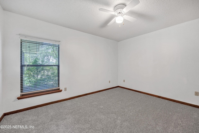 12432 Cool Breeze Way S, Jacksonville, FL 32258 - photo 19