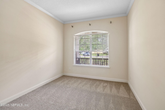 3975 Royal Pines Dr, Orange Park, FL 32065 - spare room with carpet flooring, crown molding, and a textured ceiling