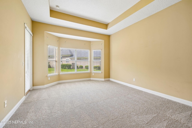 3975 Royal Pines Dr, Orange Park, FL 32065 - carpeted empty room featuring healthy amount of natural light, a raised ceiling, and a smoke detector