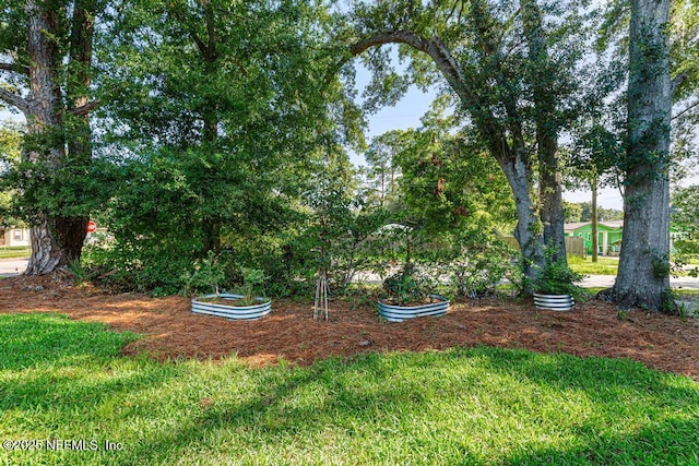 6217 Lobelia St, Jacksonville, FL 32209 - view of grassy yard with a garden