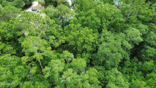 417 Hillsborough Ave, Florahome, FL 32140 - photo 6