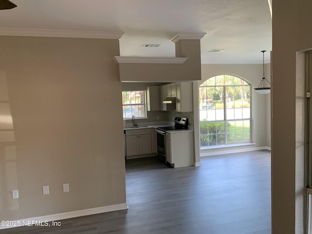 10961 Burnt Mill Rd Unit 917, Jacksonville, FL 32256 - kitchen featuring stainless steel electric range oven, under cabinet range hood, dark wood-type flooring, decorative light fixtures, and light countertops
