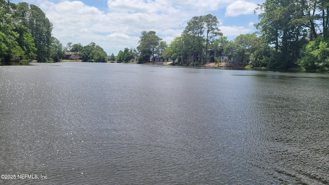 9901 Regency Square Blvd Unit 90, Jacksonville, FL 32225 - water view
