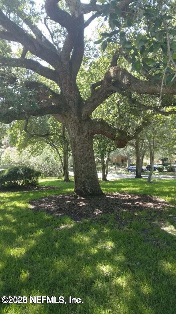 9901 Regency Square Blvd Unit 90, Jacksonville, FL 32225 - view of grassy yard