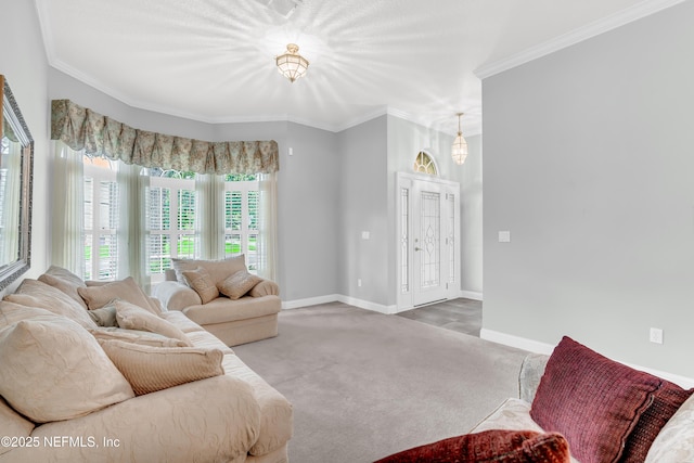 11582 Wynnfield Lakes Cir, Jacksonville, FL 32246 - carpeted living area with ornamental molding and baseboards