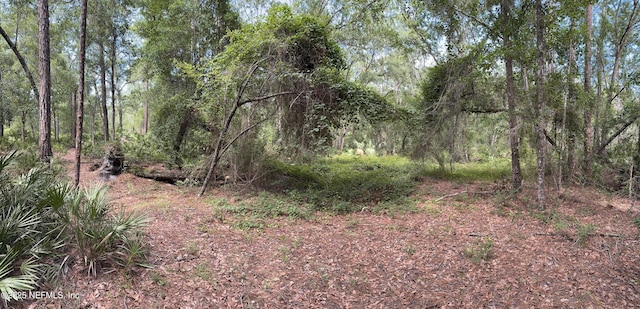 332 Ward Ave, Crescent City, FL 32112 - photo 4