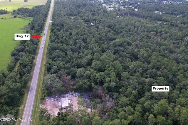 332 Ward Ave, Crescent City, FL 32112 - photo 2