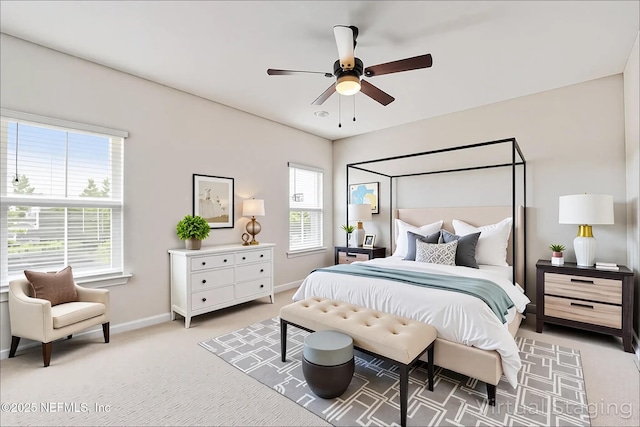 273 Wineberry Ln, Saint Augustine, FL 32092 - photo 10