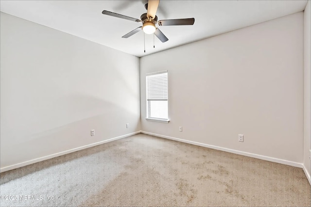 273 Wineberry Ln, Saint Augustine, FL 32092 - photo 24