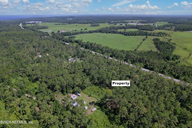 215 Ward Ave, Crescent City, FL 32112 - photo 2