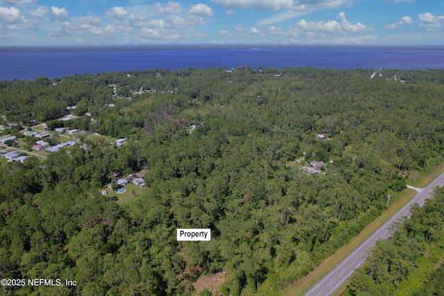 215 Ward Ave, Crescent City, FL 32112 - photo 3