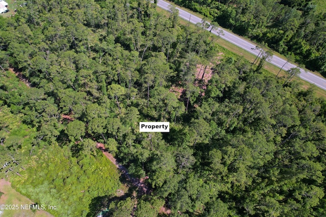 215 Ward Ave, Crescent City, FL 32112 - photo 4