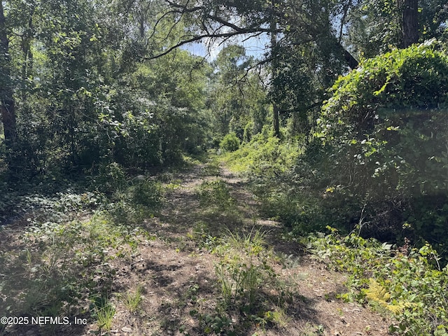 215 Ward Ave, Crescent City, FL 32112 - photo 7