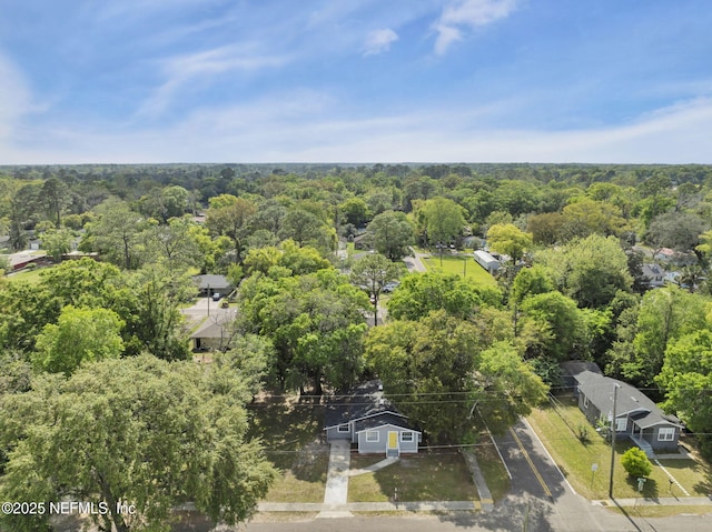 9076 1st Ave, Jacksonville, FL 32208 - bird's eye view of a forest