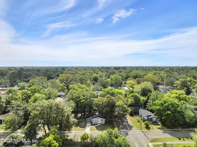 9076 1st Ave, Jacksonville, FL 32208 - bird's eye view of a forest