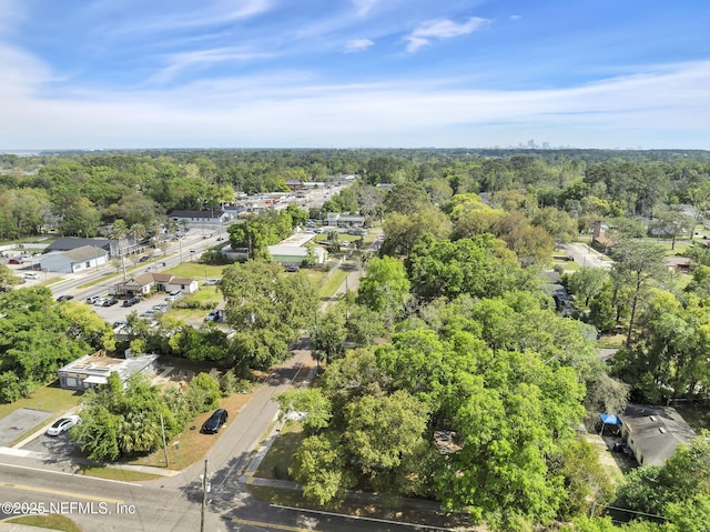 9076 1st Ave, Jacksonville, FL 32208 - bird's eye view of a forest