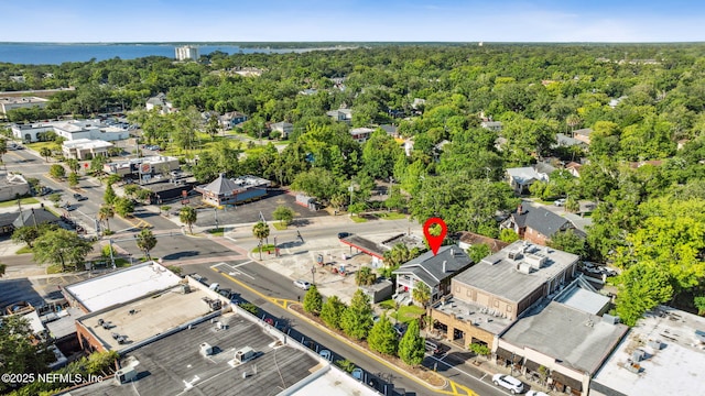 918 King St, Jacksonville, FL 32204 - bird's eye view of a nearby body of water and a forest
