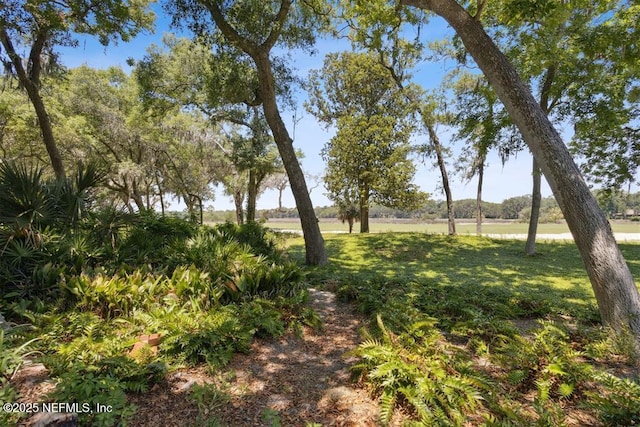 22 Belted Kingfisher Rd, Fernandina Beach, FL 32034 - photo 44
