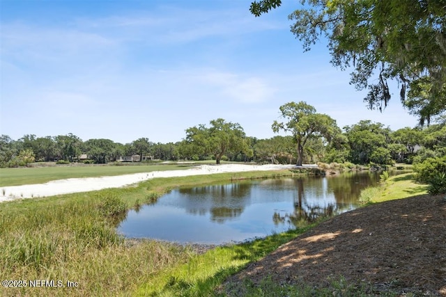 22 Belted Kingfisher Rd, Fernandina Beach, FL 32034 - photo 46