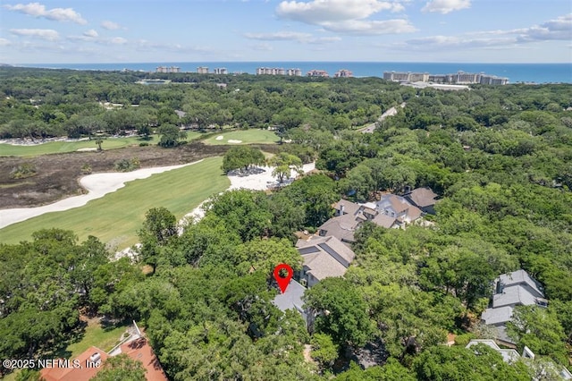 22 Belted Kingfisher Rd, Fernandina Beach, FL 32034 - photo 50