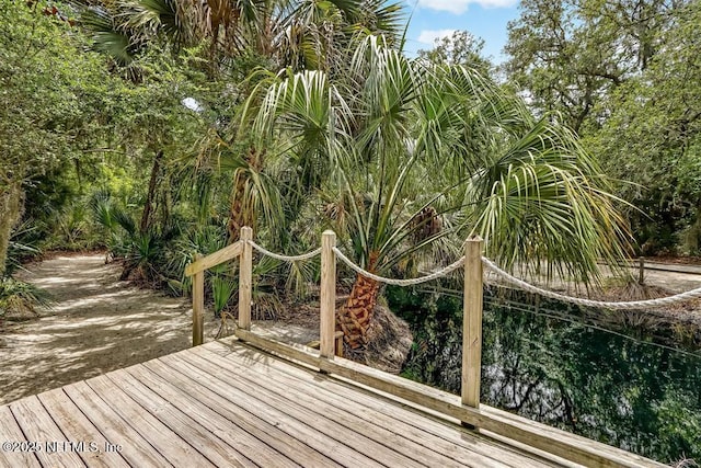 22 Belted Kingfisher Rd, Fernandina Beach, FL 32034 - photo 62