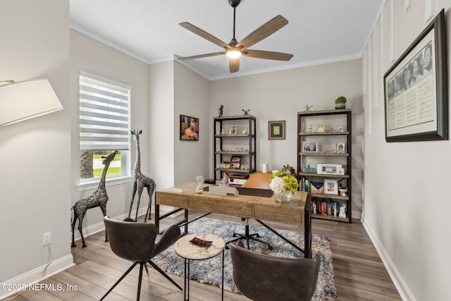 95158 Sandy Pointe Dr, Fernandina Beach, FL 32034 - office space featuring ceiling fan, wood finished floors, and crown molding