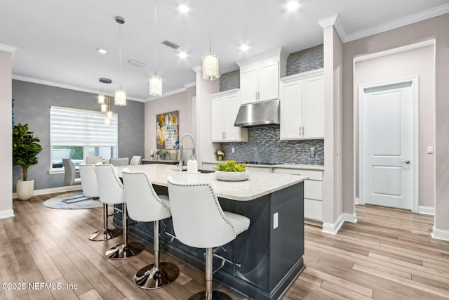 95158 Sandy Pointe Dr, Fernandina Beach, FL 32034 - kitchen with under cabinet range hood, light wood-type flooring, decorative backsplash, a kitchen island with sink, and crown molding