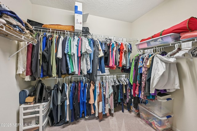 600 Broomsedge Cir, Saint Augustine, FL 32095 - spacious closet featuring carpet floors
