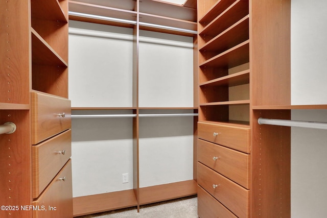 528 Sebastian Sq, Saint Augustine, FL 32095 - spacious closet with carpet