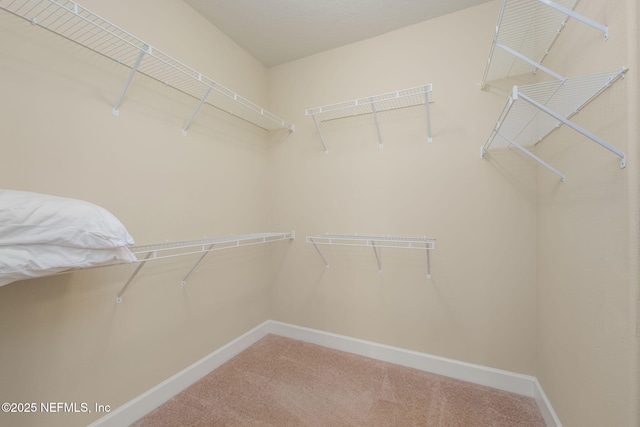 151 Cypress Bay Dr, Ponte Vedra, FL 32081 - photo 13