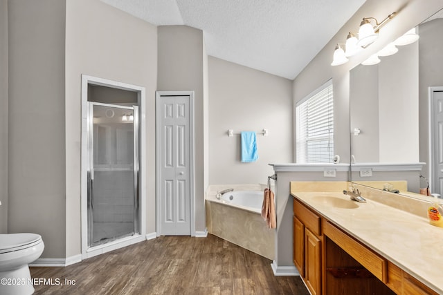 1861 Heartpine Dr, Middleburg, FL 32068 - full bathroom with vanity, lofted ceiling, a garden tub, wood finished floors, and toilet
