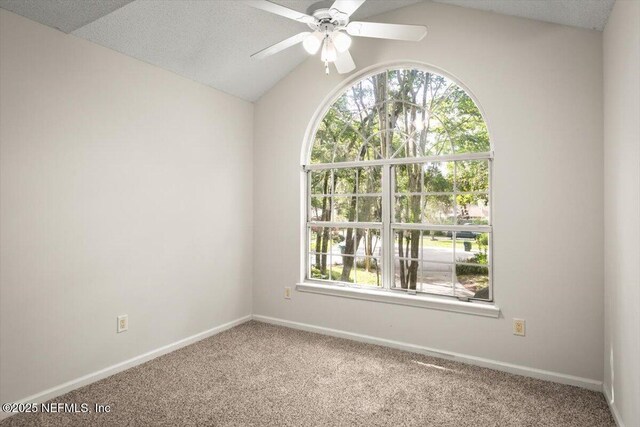 12325 Field Bluff Rd, Jacksonville, FL 32223 - photo 21
