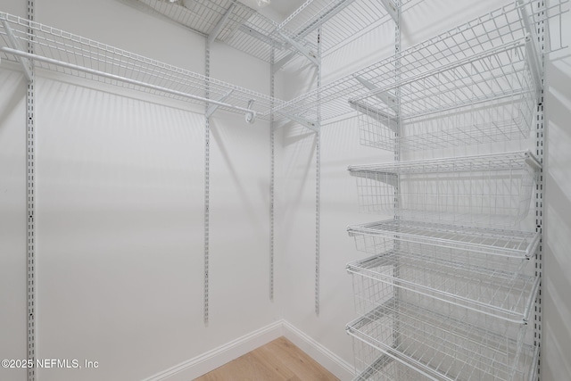 448 Willow Winds Pkwy, Saint Johns, FL 32259 - walk in closet with wood finished floors