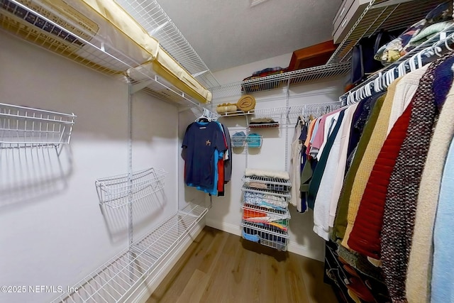 448 Willow Winds Pkwy, Saint Johns, FL 32259 - spacious closet featuring wood finished floors