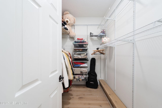 448 Willow Winds Pkwy, Saint Johns, FL 32259 - spacious closet with light wood-style flooring