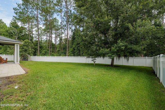 448 Willow Winds Pkwy, Saint Johns, FL 32259 - fenced backyard with a patio