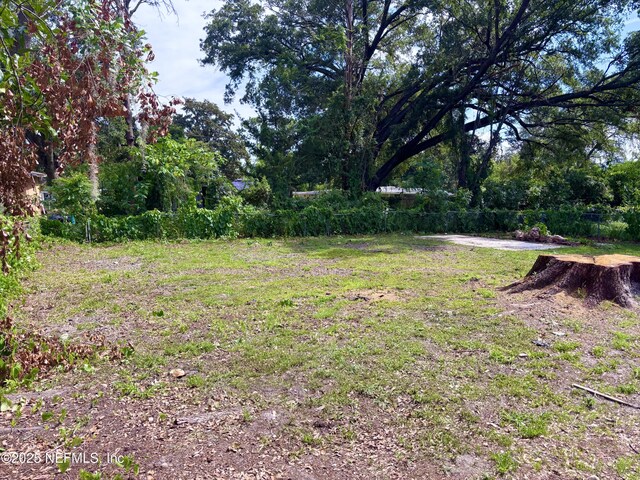 3067 Purdom Dr, Jacksonville, FL 32223 - photo 36