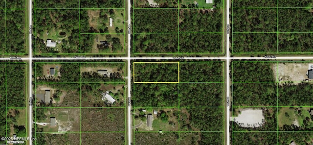 10600 Dillon Ave, Hastings, FL 32145