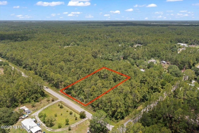 4210 Theresa St, Hastings, FL 32145