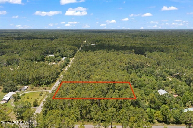 4210 Theresa St, Hastings, FL 32145