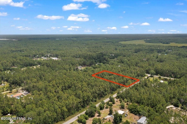 4210 Theresa St, Hastings, FL 32145