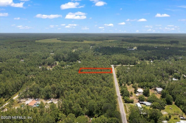 4210 Theresa St, Hastings, FL 32145