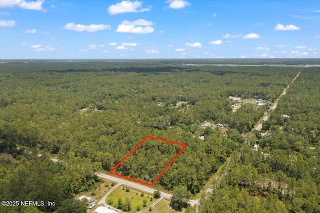 4210 Theresa St, Hastings, FL 32145