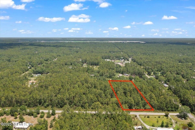 4210 Theresa St, Hastings, FL 32145