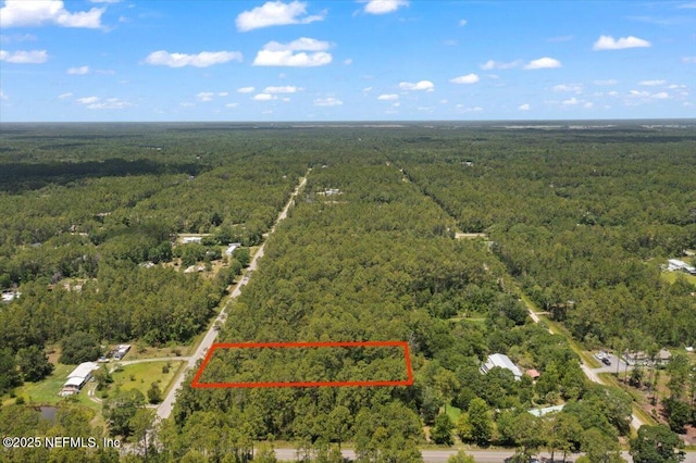 4210 Theresa St, Hastings, FL 32145