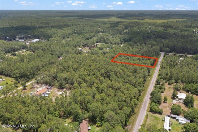 4210 Theresa St, Hastings, FL 32145
