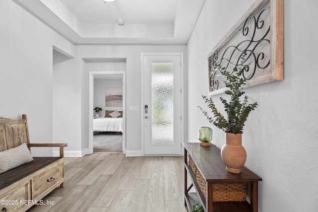 52 Key Grass Ct, Saint Johns, FL 32259 - entryway featuring light wood finished floors and a tray ceiling