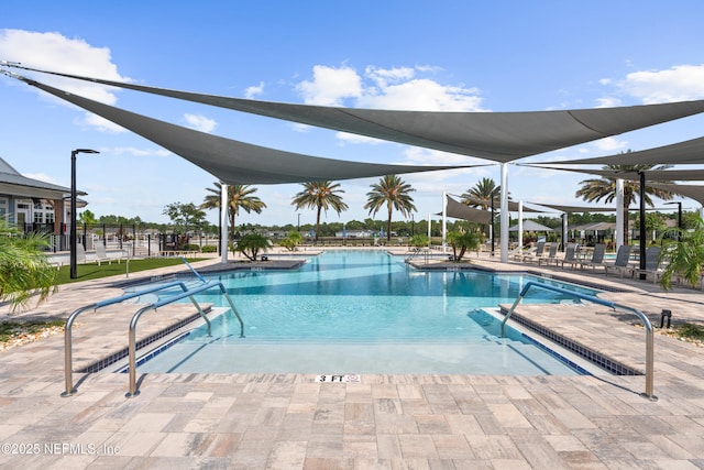 52 Key Grass Ct, Saint Johns, FL 32259 - community pool with a patio area