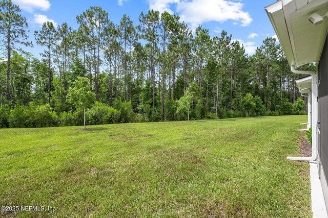 11993 Calvesta St, Jacksonville, FL 32256 - photo 32