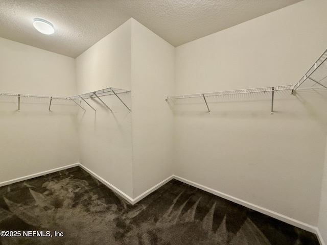 9605 Price Park Dr, Jacksonville, FL 32257 - photo 15